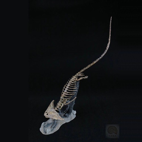 Statua diplocaulus modello - statua,