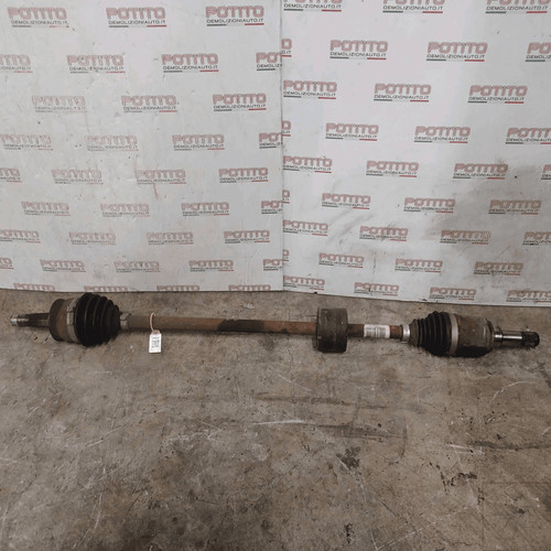 51955476 semialbero ant - 51955476,