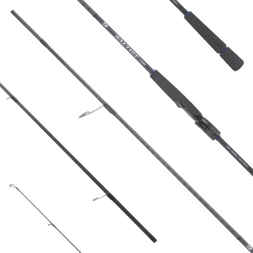 Canna daiwa saltist x - canna,