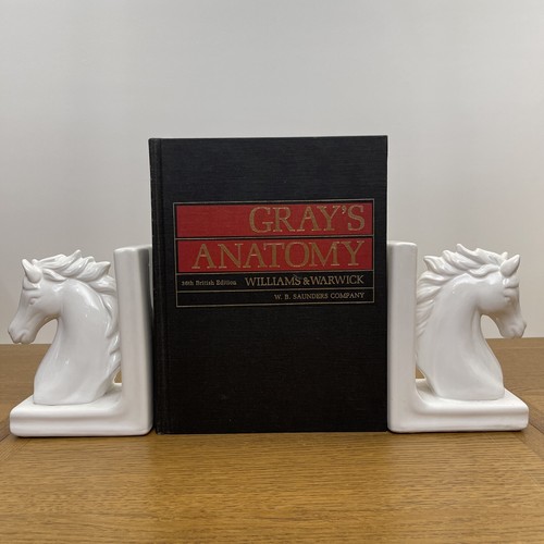 Gray anatomy 36th british - gray's,