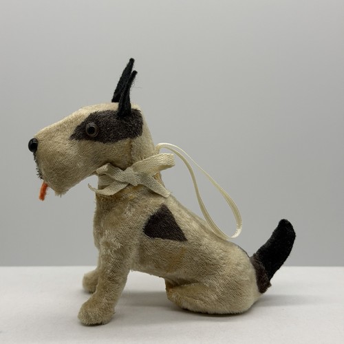 Fripon fox terrier - salon, cane
