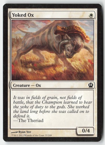 Mtg yoked 37 regolare - -,