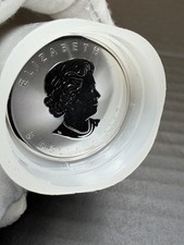 25 Coin Lot ROLL 1988-2026 1