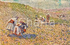 1928 ALFONSO CORRADI  Macedonia FP VG Sanremo