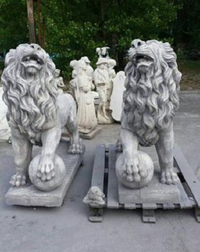 Coppia leoni con - coppia,
