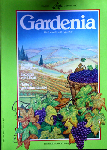 Gardenia rivista 6 - gardenia,