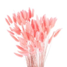 120 Pezzi Coda di Coniglio