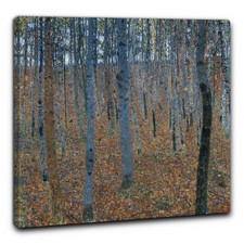 Niik Quadro foresta di faggi