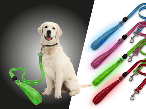 Guinzaglio led per - guinzaglio, cani