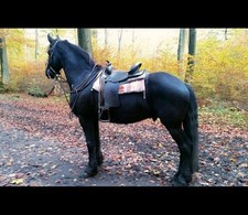 Sella western larghezza camera