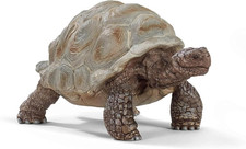 WILD LIFE | Tartaruga Gigante