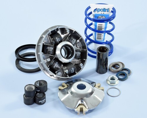 241 750 variatore - 241.750, polini