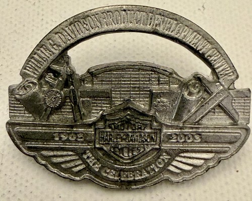 Spilla 100 anniversario - spilla,
