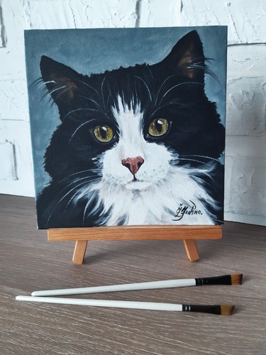 Soffice gatto bianco nero - gatto,