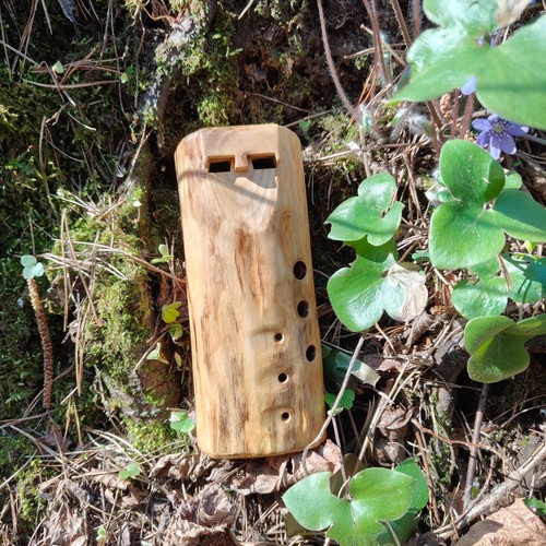Speciale ocarina legno - speciale,
