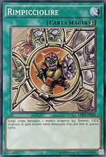Yu Gi Oh! Rimpicciolire -