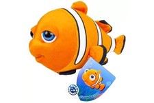 Pesce Pagliaccio Occhioni
