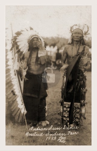 Rosebud lakota sioux - rosebud,