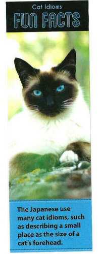 Segnalibro gatto siamese