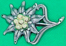 Distintivo berretto Edelweiss