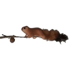 Scoiattolo su ramo decorazioni