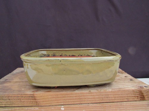 Vaso per bonsai - in, ceramica
