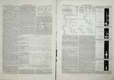 Vecchia Stampa Antica 1875