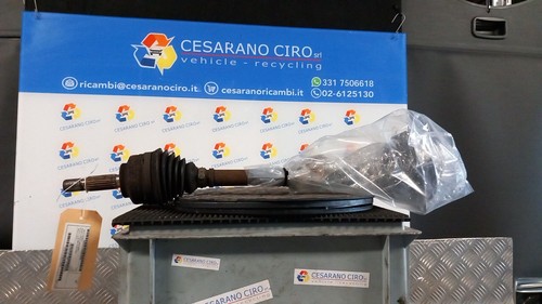 Semialbero ant compl sx - semialbero, compl.