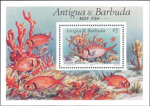 Antigua 1990 pesce - antigua,