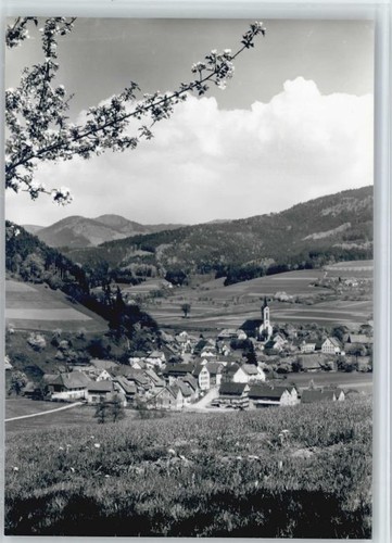 Verricello superiore elztal - verricello,