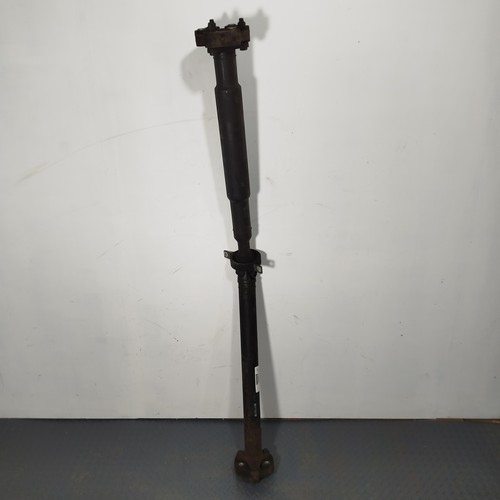 Albero trasmissione - di,