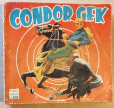 CONDOR GEK RACCOLTINA quadro