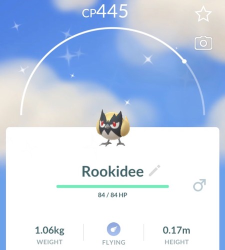 Pokemon shiny rookidee - ✨pokemon, /