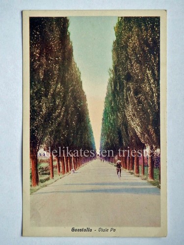 Guastalla viale reggio - guastalla,