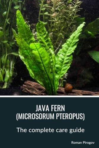 Java fern microsorum - java,