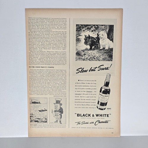 Whisky scozzese bianco - e, nero
