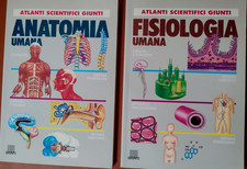 2  ATLANTI SCIENTIFICI GIUNTI : ANATOMIA UMANA + FISIOLOGIA UMANA