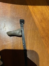 Fossile trovato in miniera di