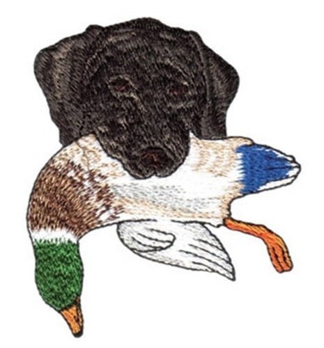 Macchina ricamo disegni usb - macchina,