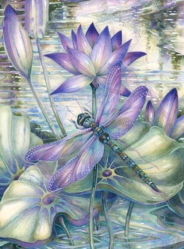 Dragonfly motivo punto - dragonfly, (4)