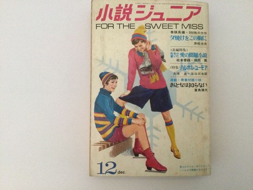 Vintage japanese magazine - japanese,