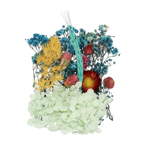 Set fiori secchi naturali - set,