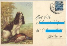 SIPE - Caccia - Cartucce -