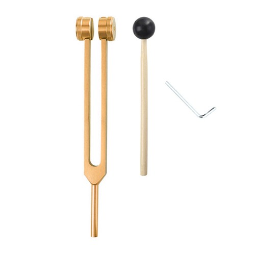 L69a 256 diapason strumento - 256, hz