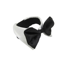 Papillon per cani - cani, le
