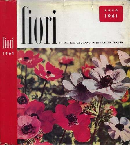 Fiori piante in giardino - fiori, piante: