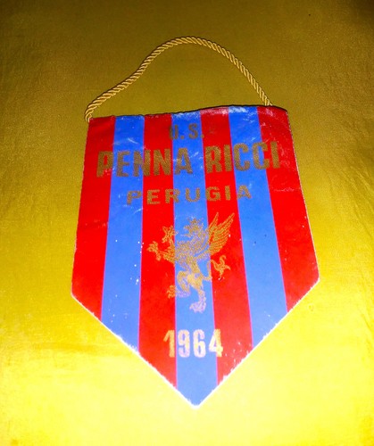Gagliardetto penna ricci - u.s.,