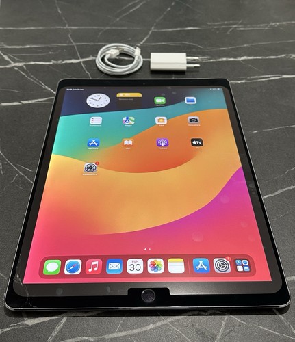 Ipad pro 256gb wi fi - pro,