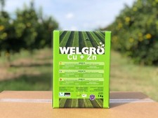 Welgro Cu+Zn Ossido di Rame e Ossido di Zinco