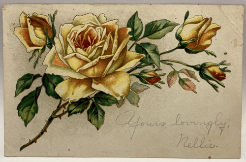 1909 rose gialle - 1909, spazio